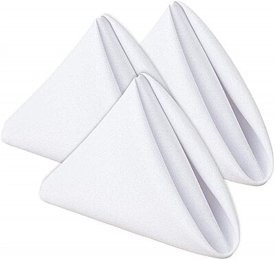 Table Napkin Plain 20s Cotton - White