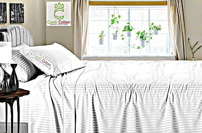 Bedsheet (Flat) Natural 100% Cotton 400 TC - Striped - White