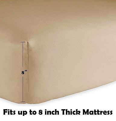 Bedsheet (Fitted) Glace Cotton 300 TC - Plain - Desert Beige Bedsheet (Fitted) Glace Cotton 300 TC - Plain - Desert Beige