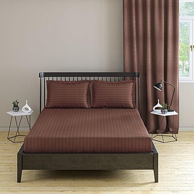 Bedsheet (Fitted) Glace Cotton 300 TC - Striped - Brown